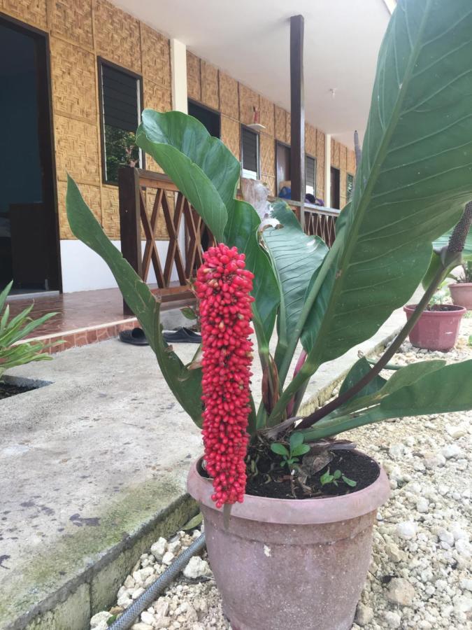 Panglao Rainbow Inn Tagbilaran Exterior foto